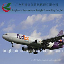 FedEx Courier Exprtess From China to Egypt